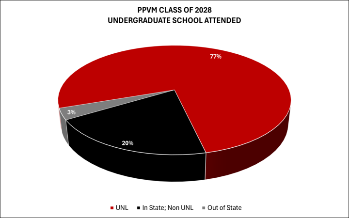 Chart showing where Class of 2028 attended undergraduate school