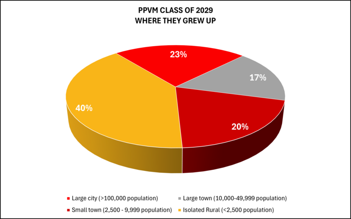Pie chart showing where students in the Class of 2029 grew up
