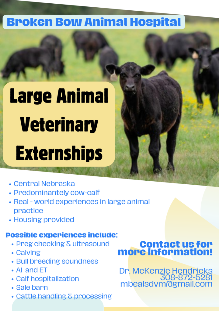 Flier for Broken Bow Animal Hospital student externships